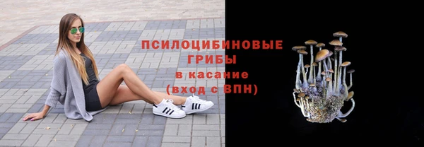 спайс Татарск