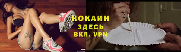 стафф Ладушкин