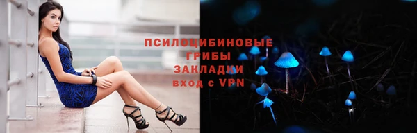 jwh Таштагол