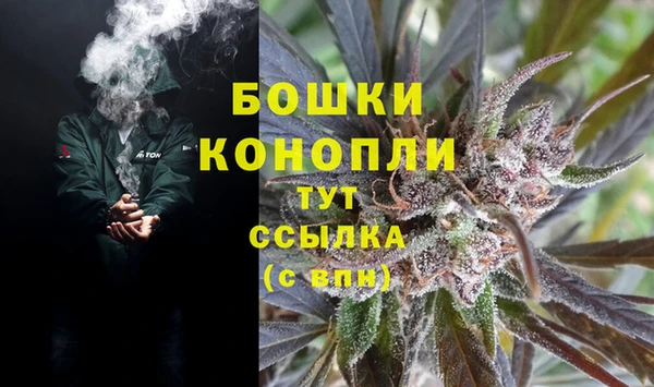 стафф Ладушкин