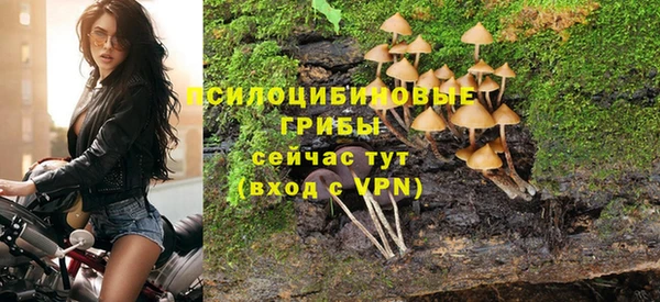 стафф Ладушкин