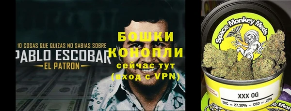2c-b Теберда