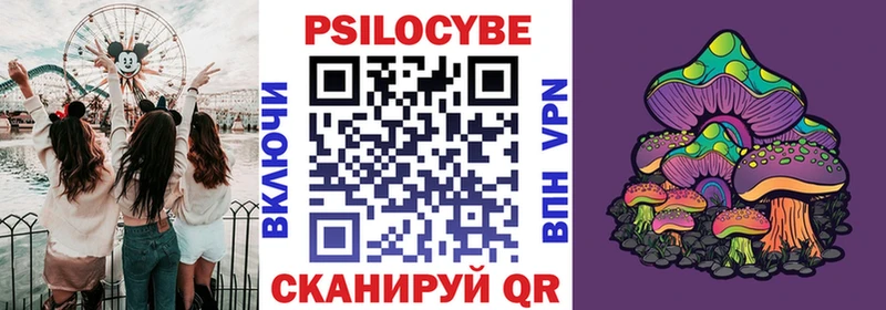 как найти   Сусуман  МЕГА вход  Галлюциногенные грибы мицелий 